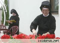 Siostry Loretanki Siostry Loretanki